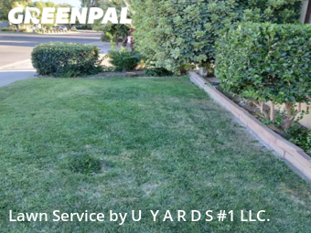 Yard Mowing nearby Modesto, CA, 