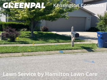 Lawn Cut nearby Indianapolis, IN, 