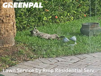 Lawn Mowing nearby Golden Glades, FL, 