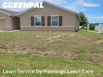 Lawn Cut nearby Cape Coral, FL, 