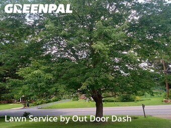 Lawn Mowing Service nearby Rome, GA, 