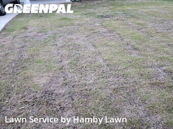 Grass Cutting nearby Fountain Inn, SC, 