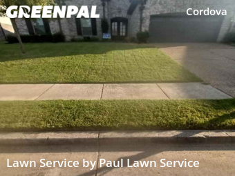 Grass Cut nearby Shelby County, TN, 