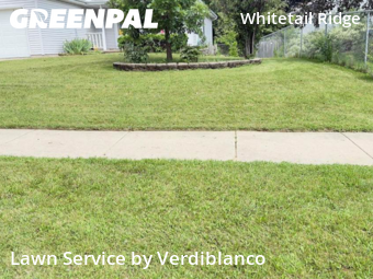 Lawn Cut nearby Madison, WI, 