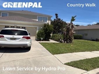 Lawn Maintenance nearby Wesley Chapel, FL, 
