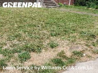 Lawn Cut nearby Pittsburgh, PA, 