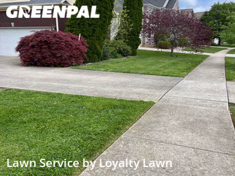 Lawn Mowing Service nearby Lexington, KY, 