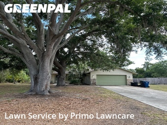 Lawn Cut nearby Palmetto, FL, 