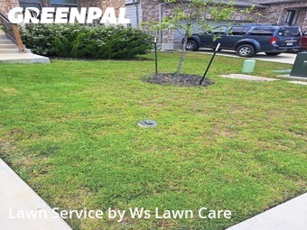 Grass Cut nearby Schertz, TX, 