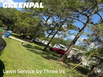 Grass Cut nearby Brooksville, FL, 