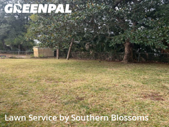 Yard Mowing nearby Fort Walton Beach, FL, 
