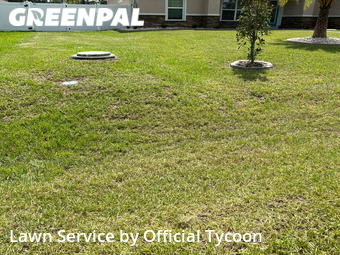 Grass Cut nearby Palm Coast, FL, 