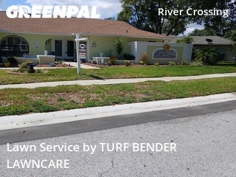 Grass Cut nearby New Port Richey, FL, 