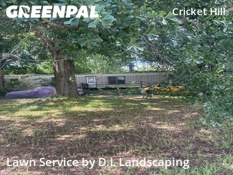 Lawn Service nearby Spring, TX, 