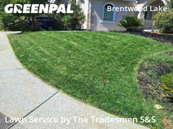 Grass Cutting nearby Brentwood, CA, 