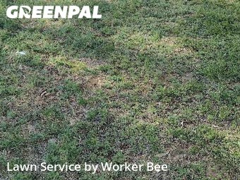 Yard Cutting nearby Aurora, CO, 