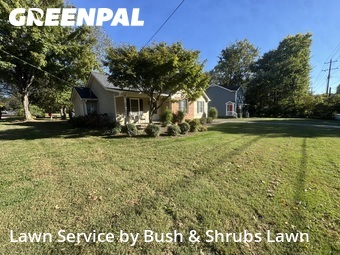 Lawn Care Servicein Franklin,37064,Lawn Cut by Bush & Shrubs Lawn, work completed in Dec , 2025