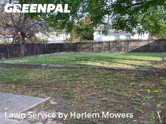 Lawn Cutting nearby The Bronx, NY, 