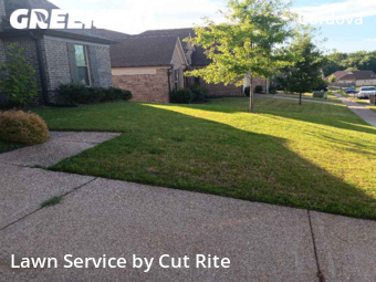 Lawn Care nearby Shelby County, AR, 