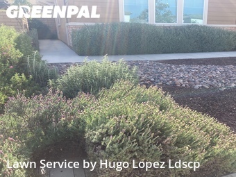 Lawn Care Service nearby Menifee, CA, 
