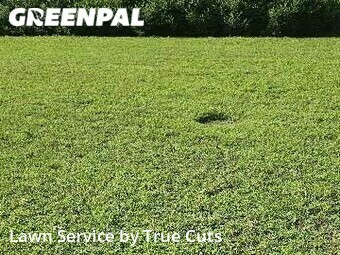 Yard Cutting nearby Midwest City, OK, 