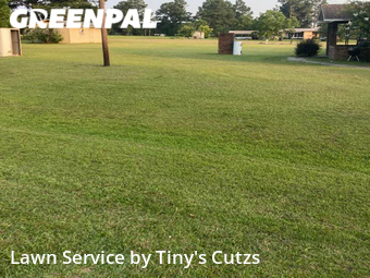 Lawn Cutting nearby Valdosta, GA, 