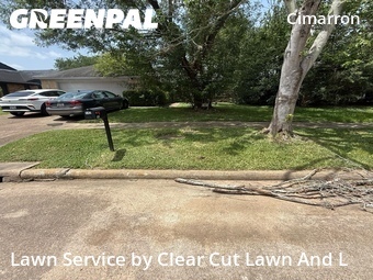 Grass Cutting nearby Katy, TX, 