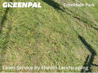 Lawn Mowing Servicein Spring,77389,Yard Mowing by Elohim Landscaping, work completed in Feb , 2026