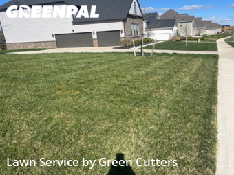 Grass Cut nearby Westfield, IN, 