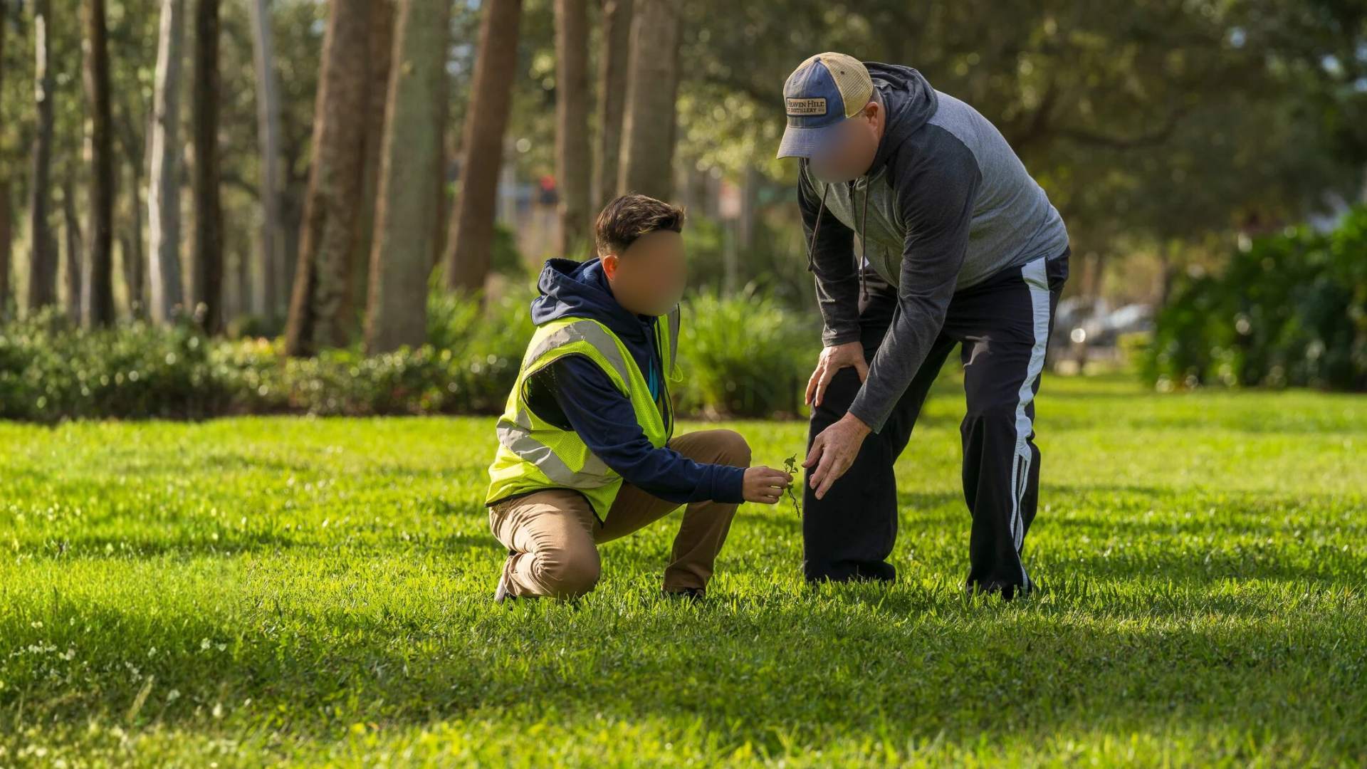 Questions to Ask Before Hiring a Lawn Care Service (2025) By Greenpal