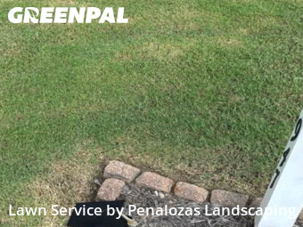 Lawn Cut nearby Suwanee, GA, 