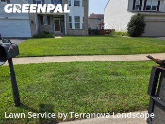 Lawn Cutting nearby Plainfield, IL, 