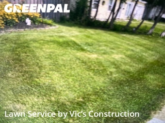 Lawn mowed in Romeoville, 60446