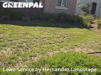 Lawn mowed in Beaumont, 92223