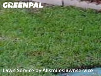 Grass Cut nearby Hollywood, FL, 