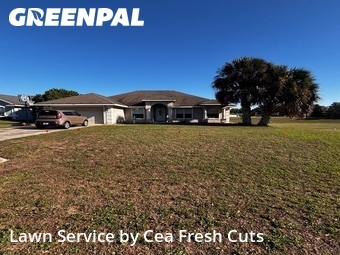 Lawn Cut nearby Ocala, FL, 