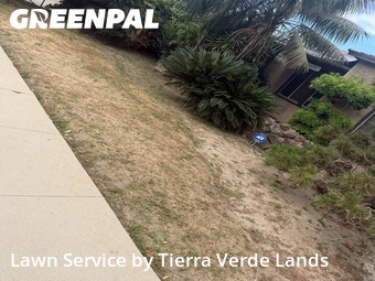Lawn Mow nearby Carson, CA, 