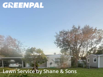 Lawn Cutting nearby St. Petersburg, FL, 