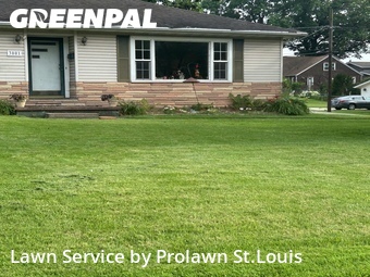 Lawn Mowing nearby Alton, MO, 