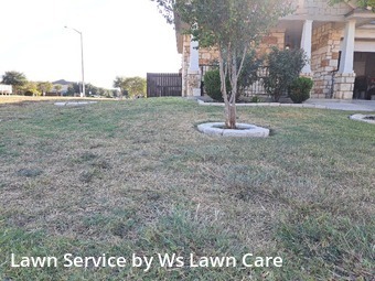 Lawn Care nearby New Braunfels, TX, 