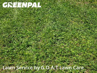 Lawn Maintenance nearby Blue Springs, MO, 