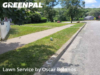 Grass Cut nearby Endicott, NY, 