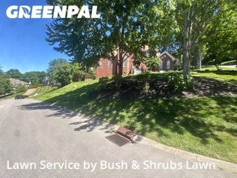Grass Cutin Brentwood,37027,Lawn Mowing by Bush & Shrubs Lawn, work completed in Jun , 2026