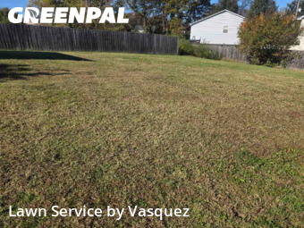 Lawn Maintenance nearby Nashville, TN, 