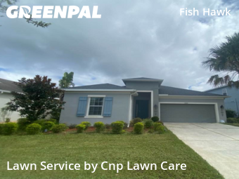 Grass Care in Fish Hawk, 33547, Lawn Services by Cnp Lawn Care, work completed in Nov , 2025