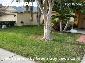 Yard Mowing nearby Trinity, FL, 