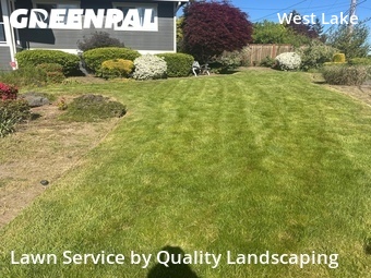 Lawn Mowingin Bellevue,98008,Grass Cut by Quality Landscaping, work completed in Jun , 2026