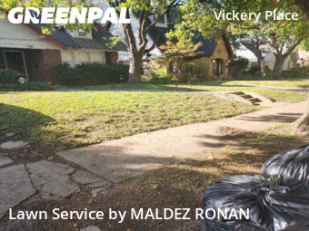 Grass Cut nearby Dallas, TX, 