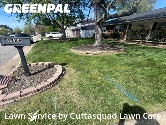 Lawn Care Service nearby Virginia Beach, VA, 