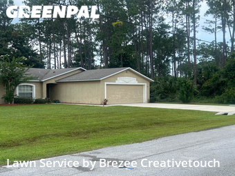 Grass Cut nearby Palm Coast, FL, 